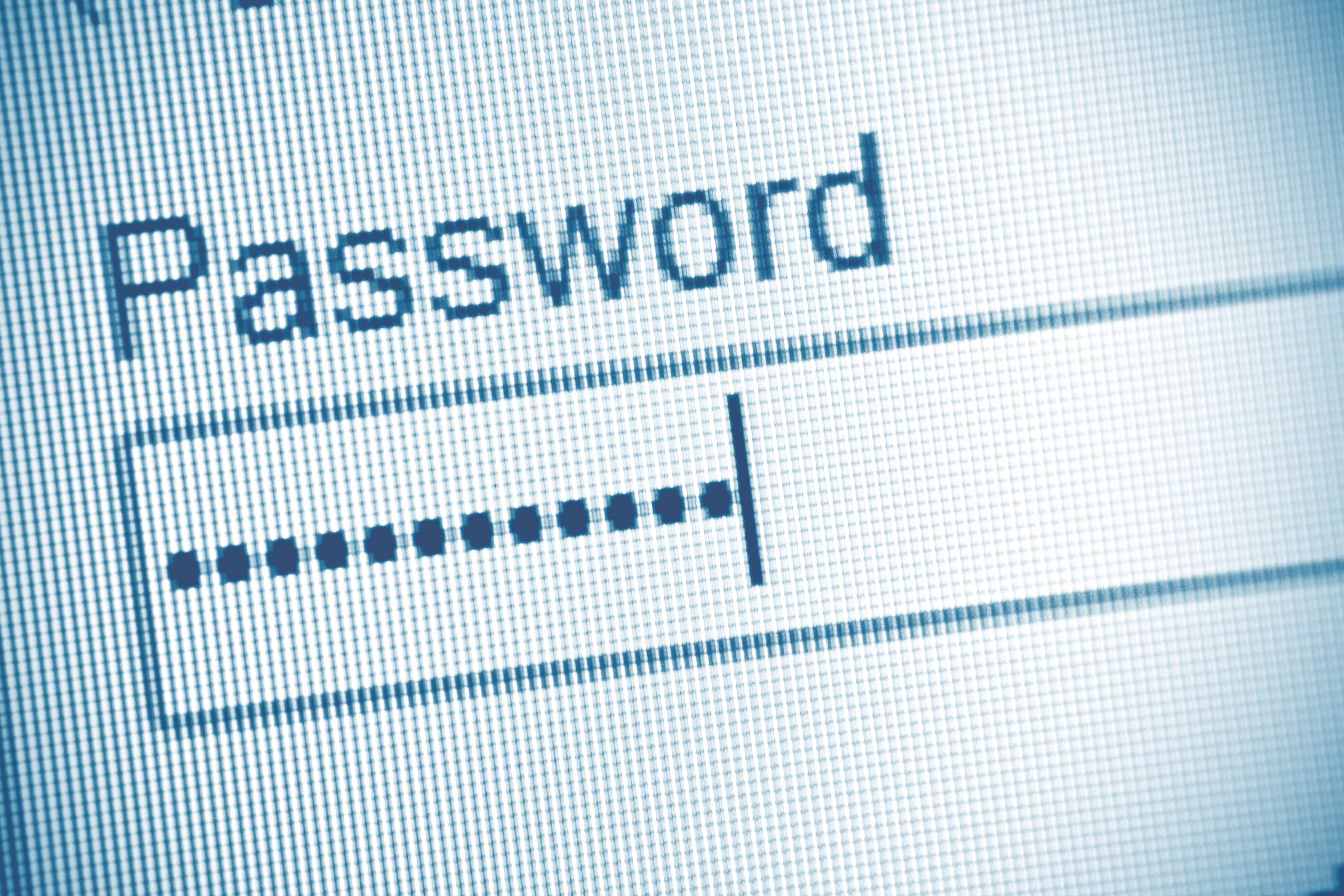 Passwords are no longer sufficient security.