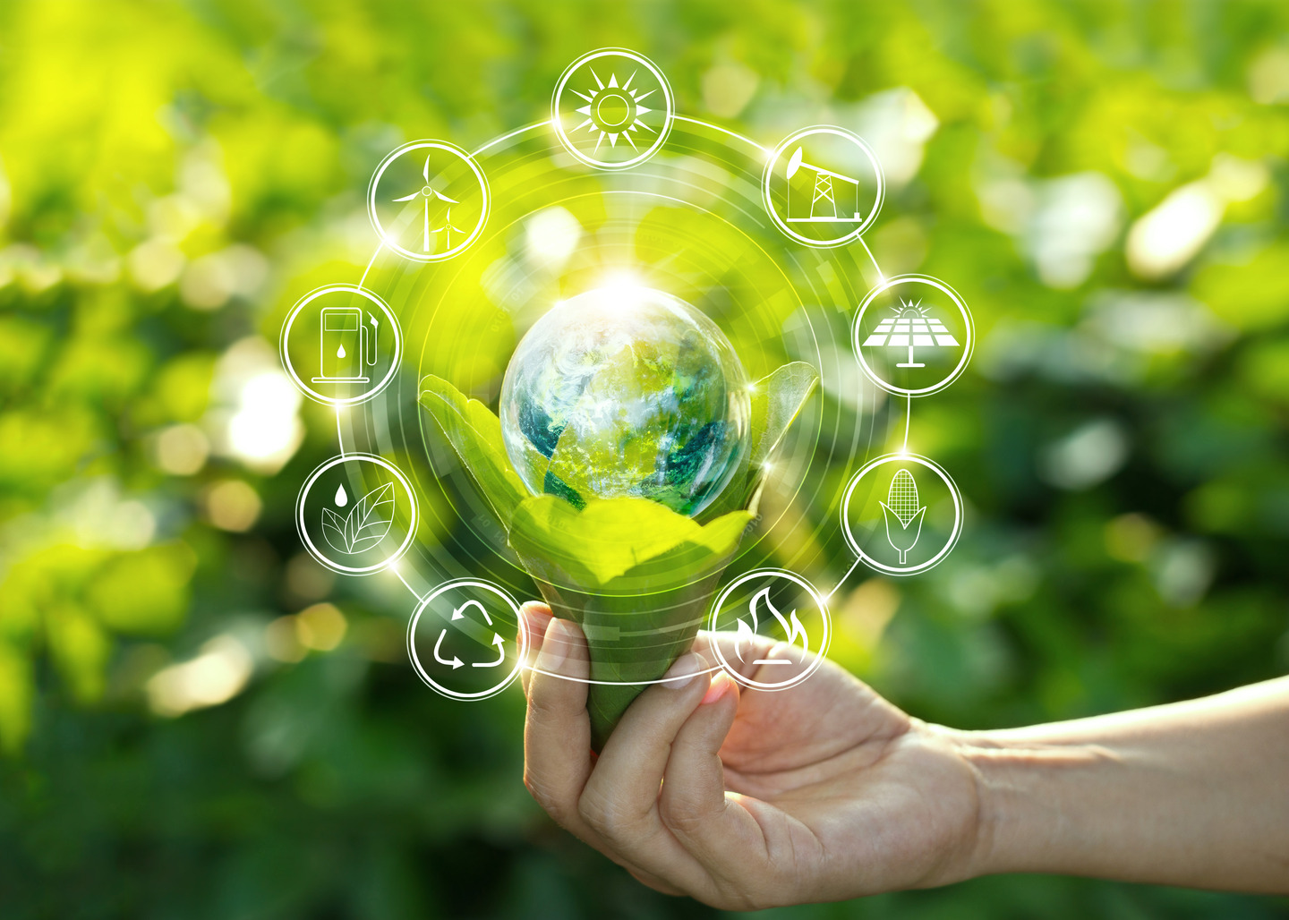 Scope 3 data and smarter procurement for a greener planet.