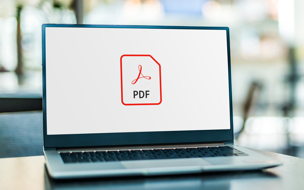 Stock image of a laptop showing the PDF logo.