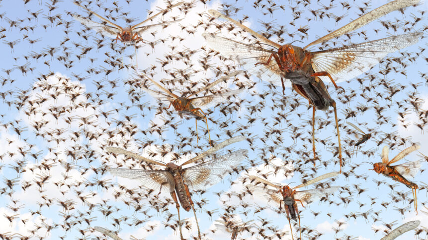 The 2023 Imperva Bad Bot Report shows the internet of the future - like a swarm of locusts.