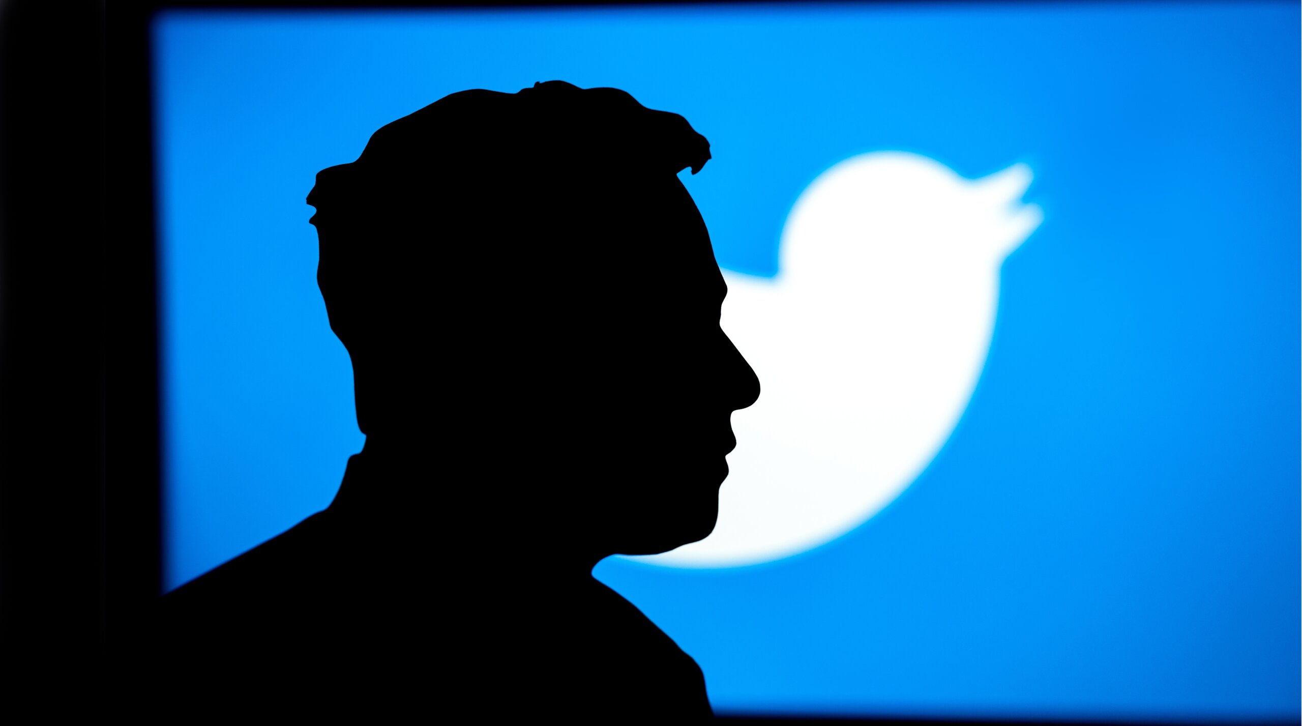 Elon Musk's silhouette against Twitter logo