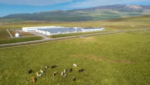 drone image of B52 facility and several wild horses grazing in the surrounding pastures