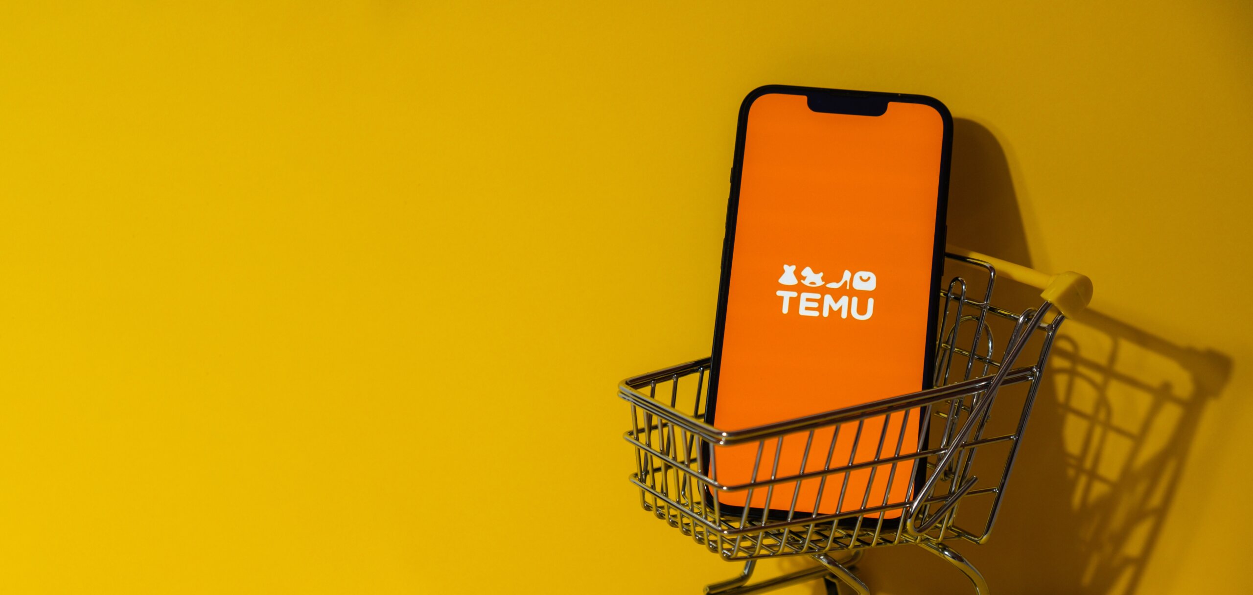 Temu Is Burning Cash to Challenge Shein and  on Black Friday