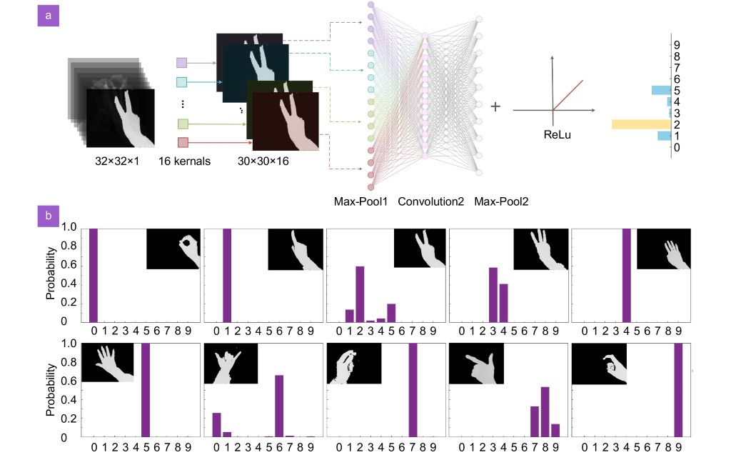 Can optical neural networks recognize hand gestures? Yes.