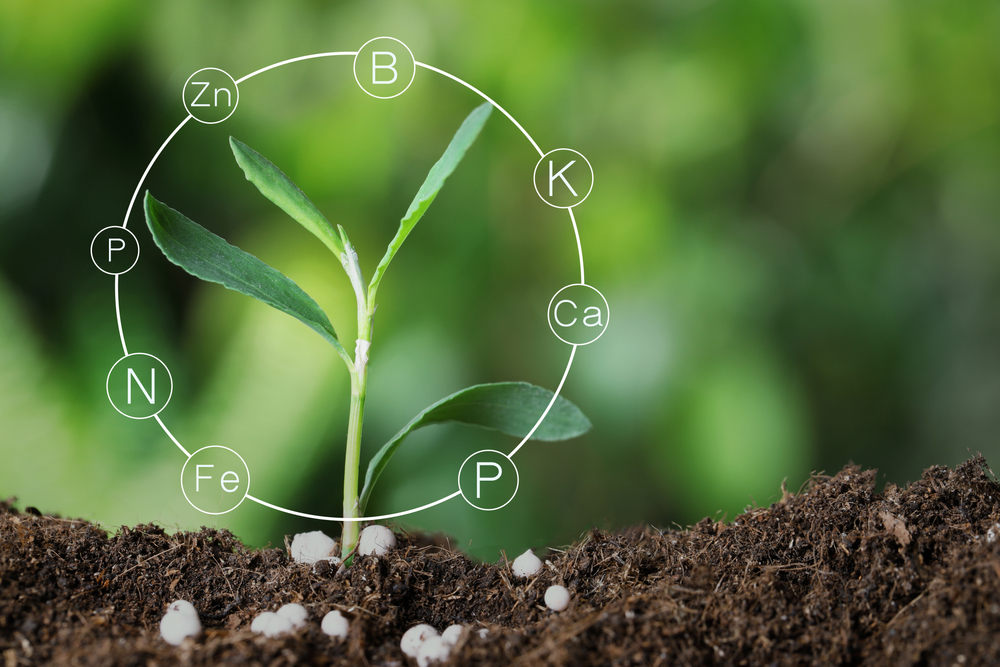 Can mineral-rich fertilizer grow solutions to supply chain problems?