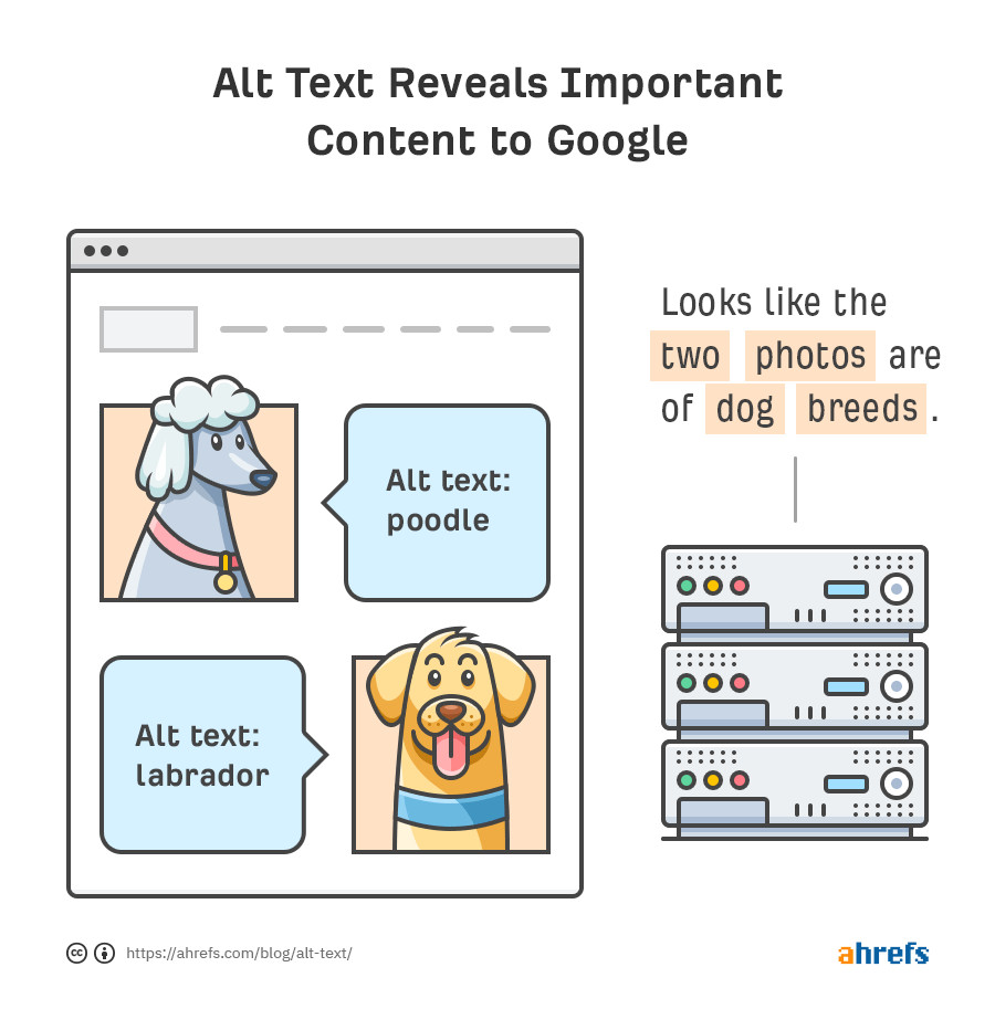 The most Meta alt text in the world? Explanation of how alt text works.