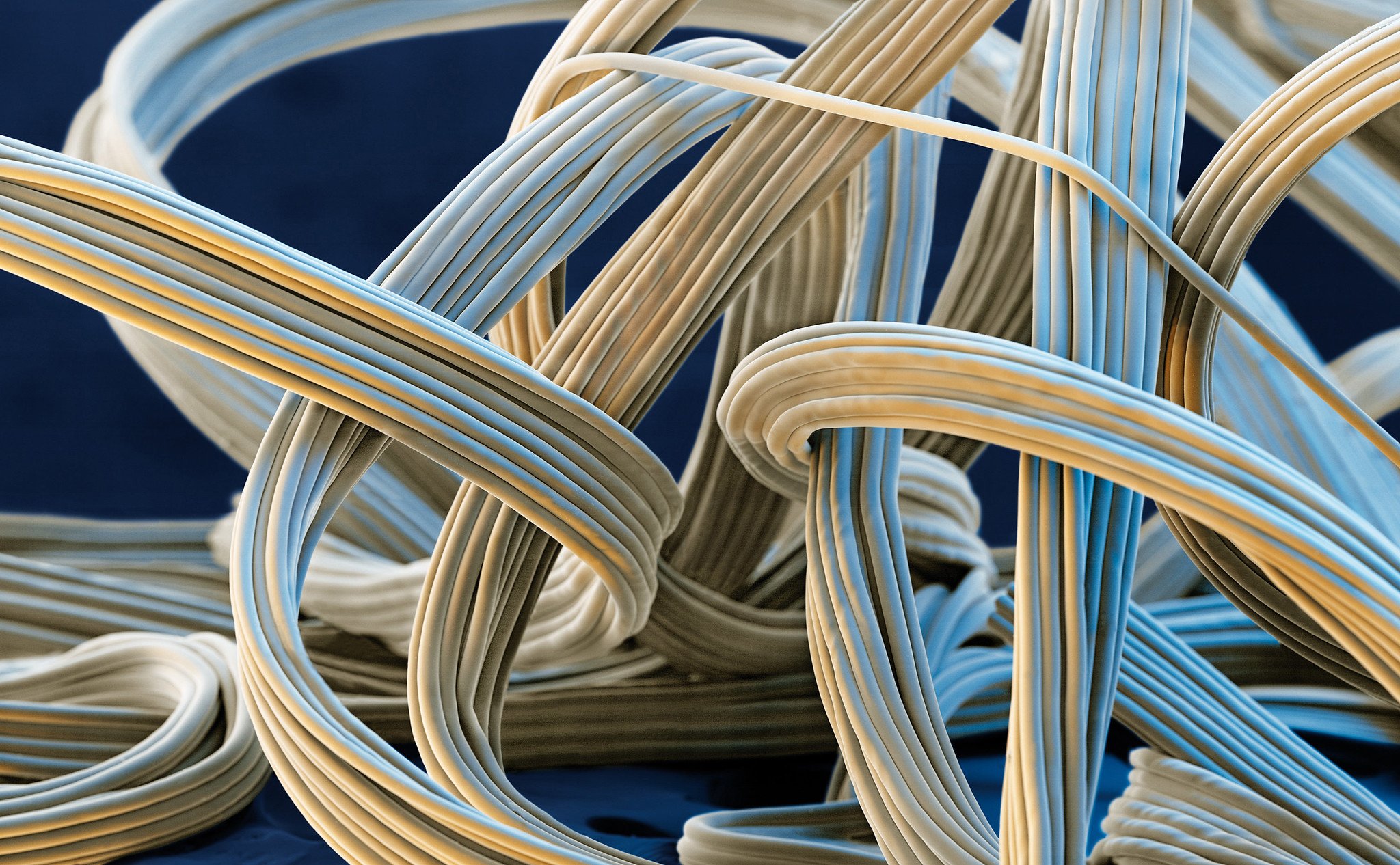 Image to illustrate Elasticsearch cloud news.