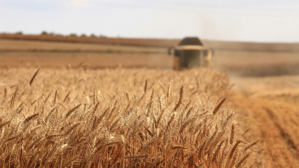 Anthropic and Gates Foundation commit $200 million to AI tools for health, education, and agriculture